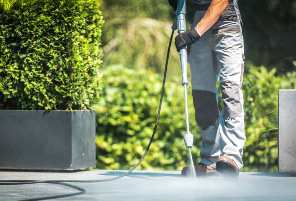 Best Window and Screen Pressure Cleaning in Montezuma, IA